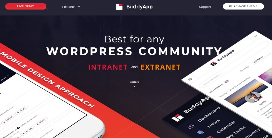 BuddyApp – Mobile First Community WordPress Theme
