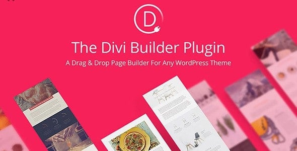 Elegant Themes The Divi Builder